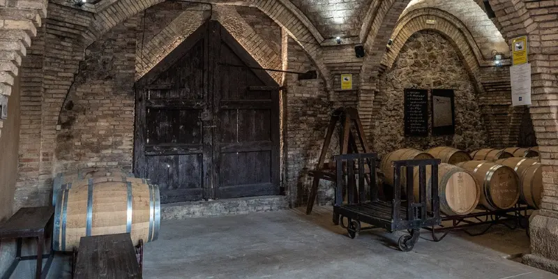 Interior of a rustic wine cellar with wooden barrels, arched brick ceilings, and a large wooden door