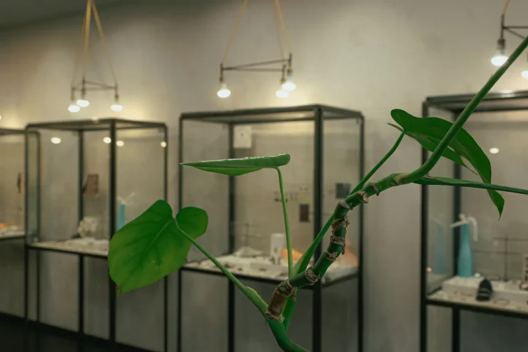 spain barcelona jewellery tassjoies 9 768x512